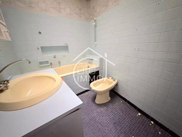 GARDONNE : Immeuble centre 6 pièces de 177m² avec cour