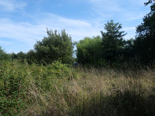 Terrain Cuffy + de 2 hectares, sous-bois, puits, 10' NEVERS, campagne, clos