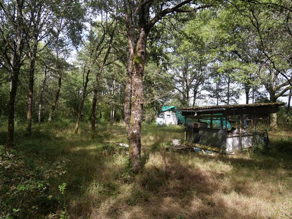 Terrain Cuffy + de 2 hectares, sous-bois, puits, 10' NEVERS, campagne, clos