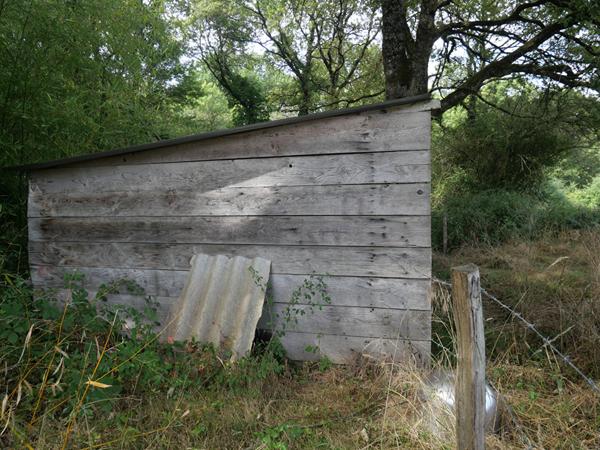 Terrain Cuffy + de 2 hectares, sous-bois, puits, 10' NEVERS, campagne, clos