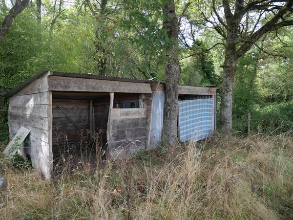 Terrain Cuffy + de 2 hectares, sous-bois, puits, 10' NEVERS, campagne, clos