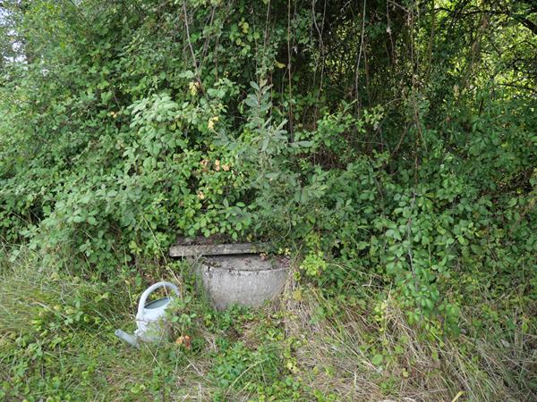 Terrain Cuffy + de 2 hectares, sous-bois, puits, 10' NEVERS, campagne, clos