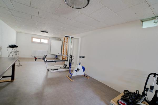 Dpt Ain (01), à vendre ECHENEVEX maison P5 de 324,04 m² - Terrain de 10 000,00 m² - Plain pied