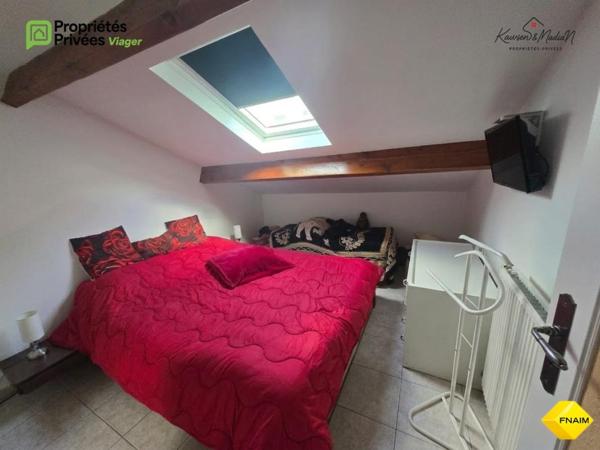 VIAGER OCCUPE Immeuble avec 2 Appartements parking et cour