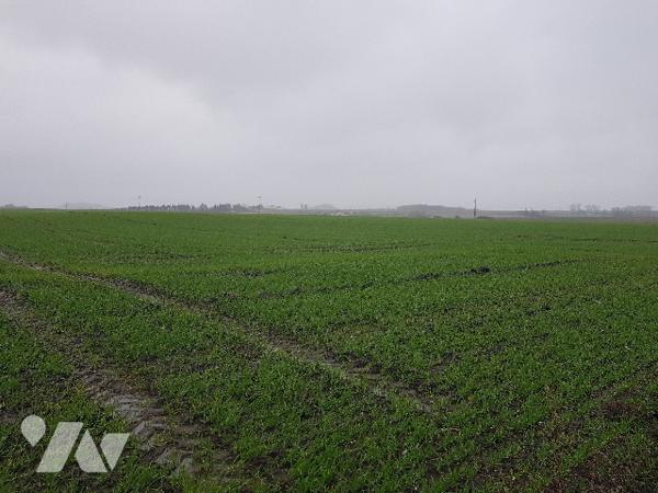 Terrain à bâtir d'une superficie de 4270 m² 

Renseignements complémentaires en étude.