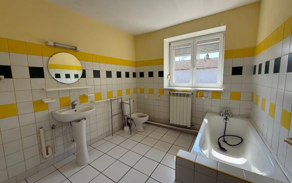 Maison à vendre    21 pièces •  Nancy