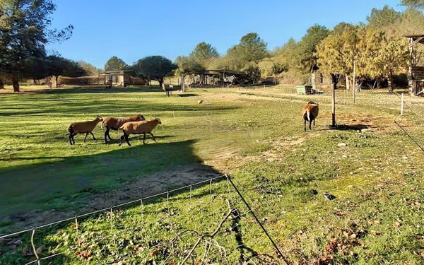 Maison à vendre    5 pièces •  Nîmes