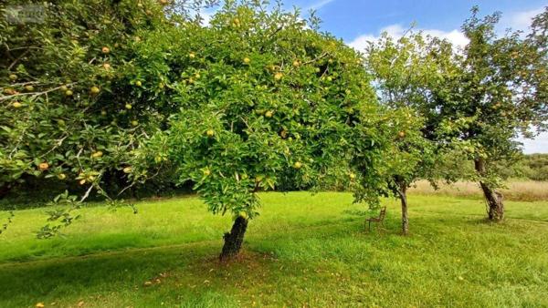 Maison à vendre à Guidel dans le Morbihan (56520), ref : 56091-5