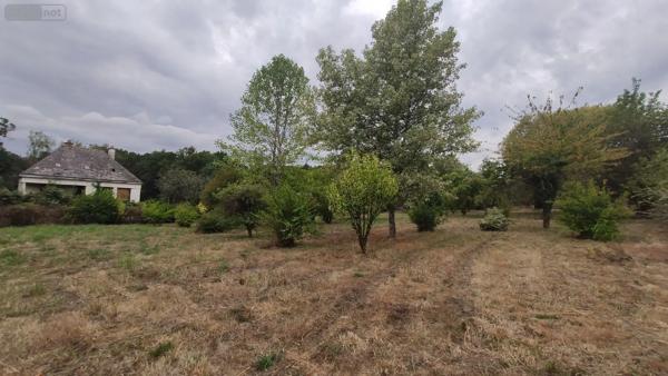Achat - Terrain à bâtir | Terrain à bâtir Saint-Barthélemy 56150 650 m 2 650 m 2