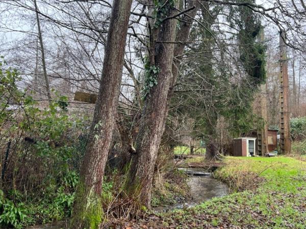 Terrain de loisirs LE BREUIL EN AUGE (14)