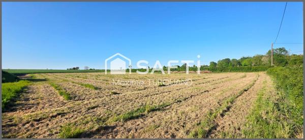 Grand terrain constructible, 3900m²