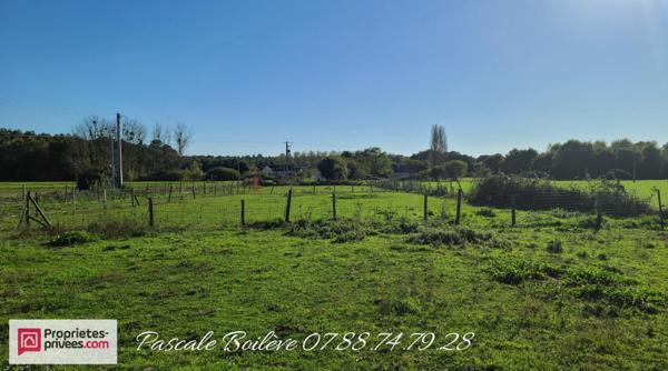Charmante longère avec pré pour chevaux - NOYANT-VILLAGES (49490)