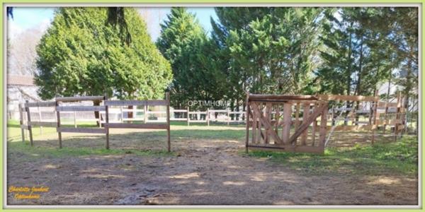 maison divisée en 2 habitations ( +possibilité boxes + rond de longe + terrain en +)