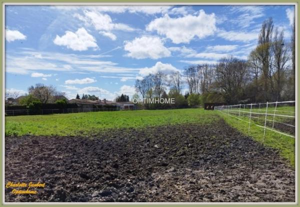 maison divisée en 2 habitations ( +possibilité boxes + rond de longe + terrain en +)