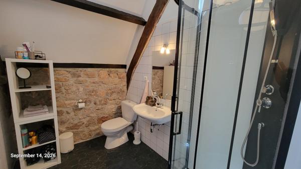 Maison de caractère avec gîte indépendant et piscine à 8 minutes de Villeneuve d'Aveyron Ols et rhinodes