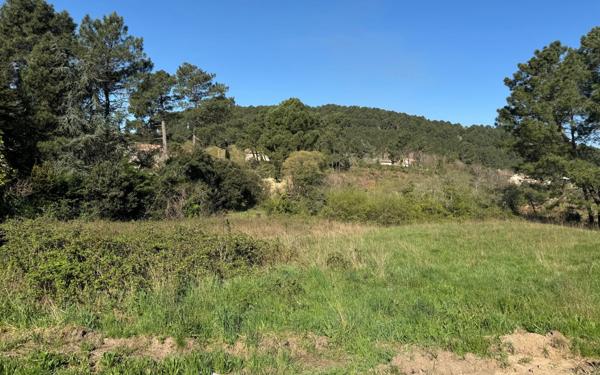 Terrain à vendre    Laval-Pradel