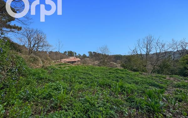 Terrain à vendre    Ailhon