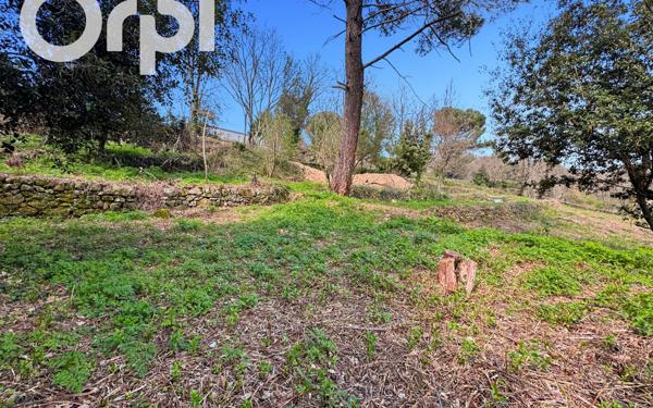 Terrain à vendre    Ailhon