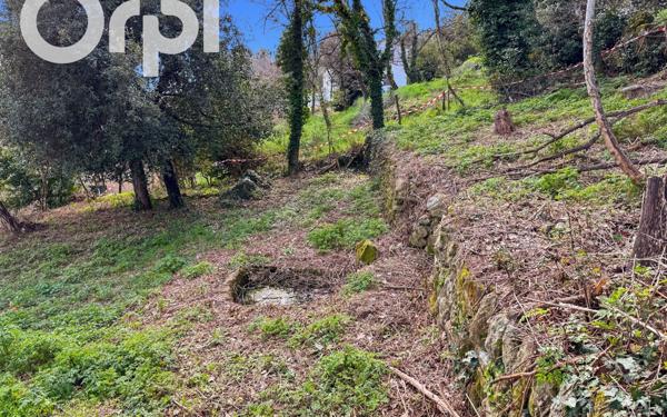 Terrain à vendre    Ailhon