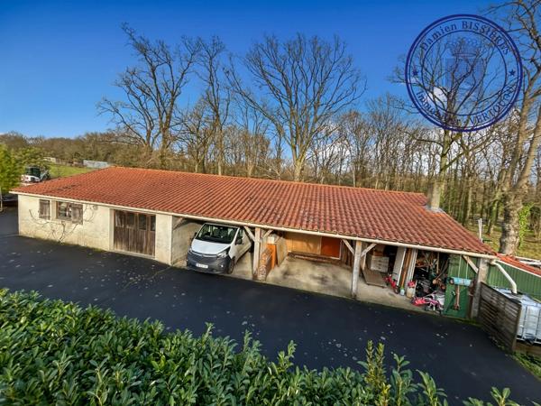 [RARE] 170 m² de potentiel à transformer sur 1 000 m² de terrain - Extension - Piscine - Dépendance - Vertou