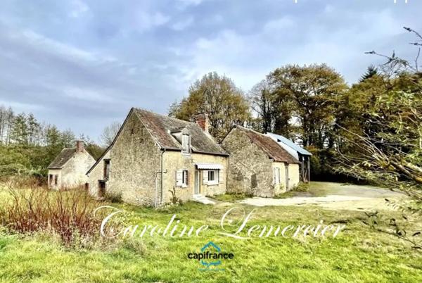 Maison à vendre 4 pièces proche de CONNERRE (72)FERMETTE en campagne isolée de 60 m² habitables 2 chambres avec un potentiel evolutif sur dependances, 1 hectare de terrain avec ruisseau