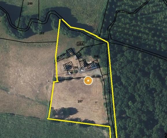 Maison à vendre 4 pièces proche de CONNERRE (72)FERMETTE en campagne isolée de 60 m² habitables 2 chambres avec un potentiel evolutif sur dependances, 1 hectare de terrain avec ruisseau