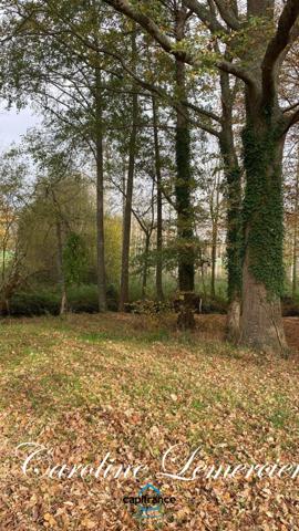 Maison à vendre 4 pièces proche de CONNERRE (72)FERMETTE en campagne isolée de 60 m² habitables 2 chambres avec un potentiel evolutif sur dependances, 1 hectare de terrain avec ruisseau