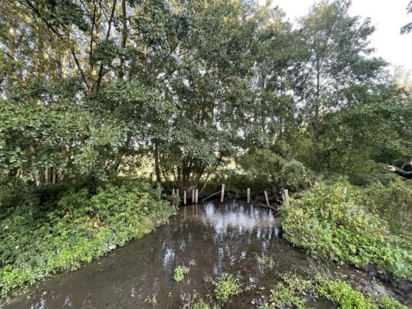 Maison à vendre 4 pièces proche de CONNERRE (72)FERMETTE en campagne isolée de 60 m² habitables 2 chambres avec un potentiel evolutif sur dependances, 1 hectare de terrain avec ruisseau
