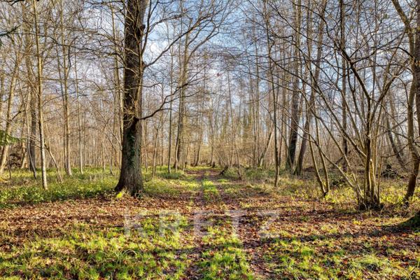 Maison normande sur 4 hectares – Étang – Bois – Piscine