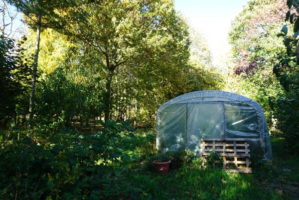 Plouha (22580) Maison de plain-pied sur grand terrain arboré à Plouha