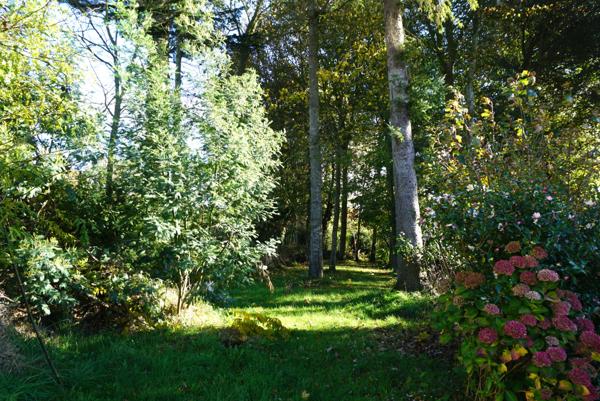 Plouha (22580) Maison de plain-pied sur grand terrain arboré à Plouha