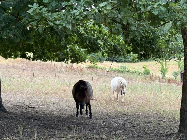 Charmante propriété avec vue rare sur Bergerac