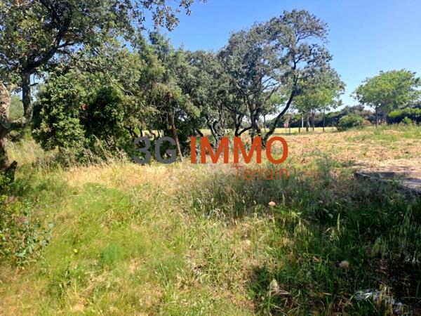 Vente / Terrain constructible