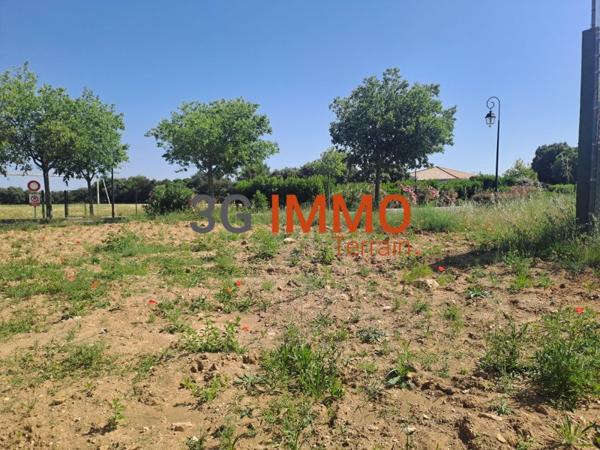 Vente / Terrain constructible
