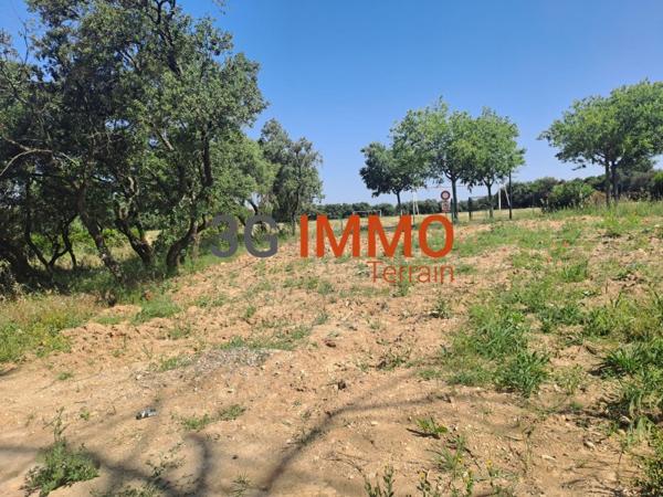 Vente / Terrain constructible