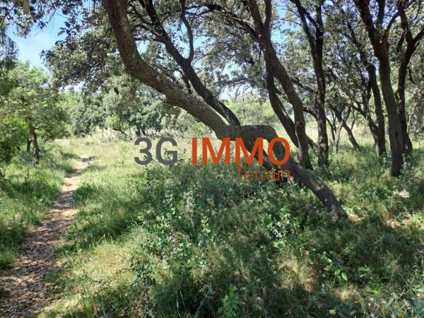 Vente / Terrain constructible