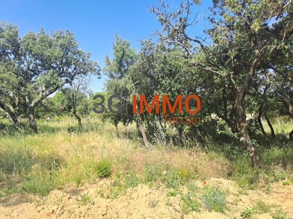 Vente / Terrain constructible