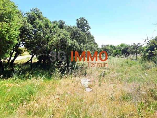 Vente / Terrain constructible