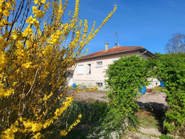 A 1 heure de PARIS, de REIMS et de TROYES : PAVILLON sur SOUS-SOL complet et DEPENDANCEde 60 m² sur 2518 m²