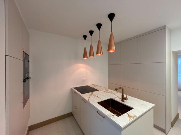 Maison de ville entièrement rénovée - Laval 6 pièce(s) - 103.81 m2 avec terrasse et jardin