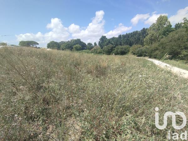 Terrain à vendre 480 m² Vaux-sur-Mer