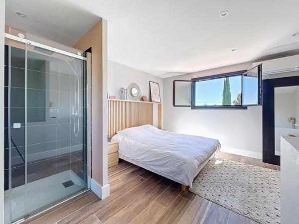 Magnifique maison avec dépendance et piscine