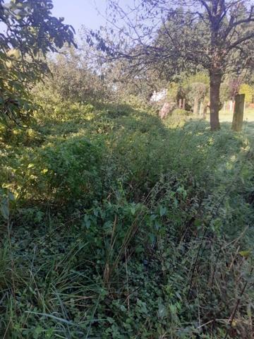 Maison à vendre à Laignelet en Ille-et-Vilaine (35133), ref : 037/1865