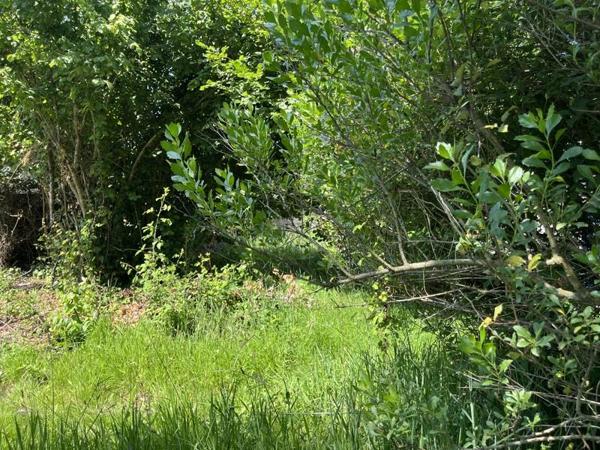 Terrain à vendre |  Andernos-les-Bains |  437 m²