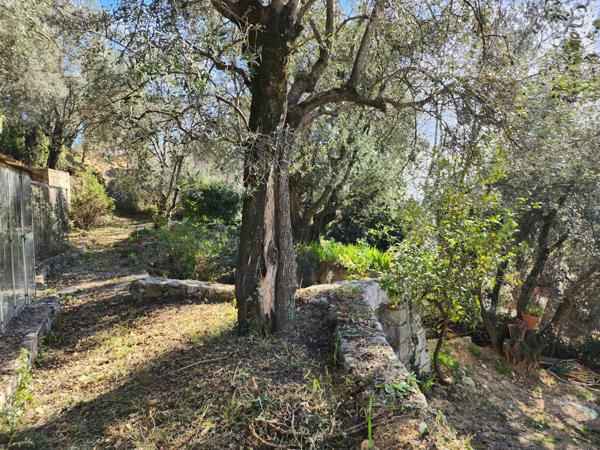 Saint-Blaise (06670) SAINT BLAISE : TERRAIN EN POSITION DOMINANTE OFFRANT UNE SUPERBE VUE SUR LES MONTAGNES, EXPOSE OUEST