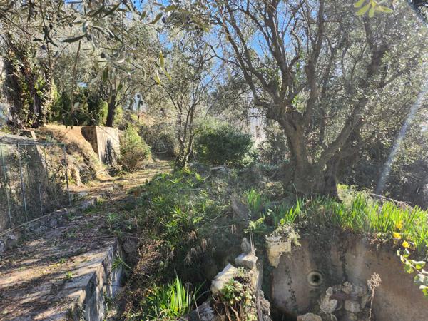 Saint-Blaise (06670) SAINT BLAISE : TERRAIN EN POSITION DOMINANTE OFFRANT UNE SUPERBE VUE SUR LES MONTAGNES, EXPOSE OUEST