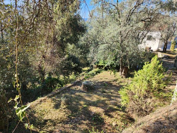 Saint-Blaise (06670) SAINT BLAISE : TERRAIN EN POSITION DOMINANTE OFFRANT UNE SUPERBE VUE SUR LES MONTAGNES, EXPOSE OUEST