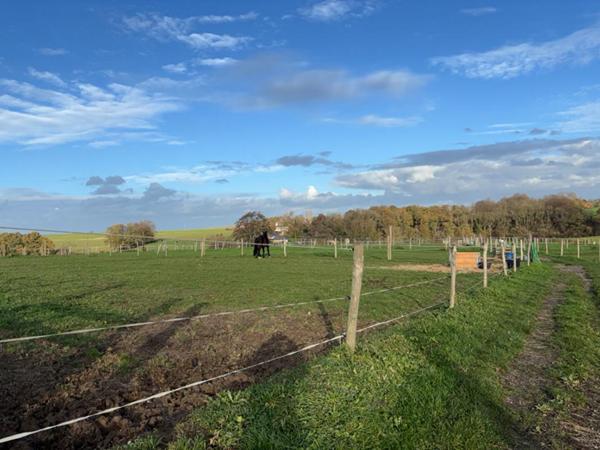 Propriété equestre Saint Romain De Colbosc