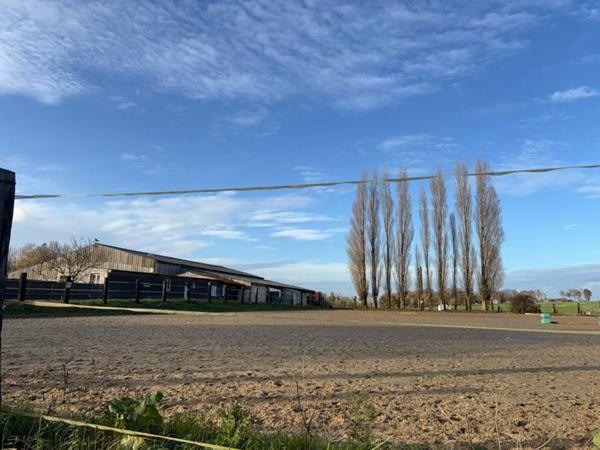 Propriété equestre Saint Romain De Colbosc