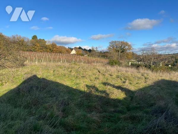 À 3 km de Chinon - Ancienne ferme à restaurer avec dépendances, caves et jardin d'environ 3 500...